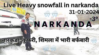 Live Heavy Snowfall in Narkanda  नारकंडा कुफरीशिमला में भारी बर्फबारी 🌨️🌨️🌨️ [upl. by Malanie]