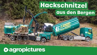 Lener Hackgut  Die Hackschnitzel Profis aus Tirol  Teil 1  JENZ Hacker mit 1300 PS [upl. by Anyg]