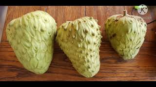 Harvesting some Cherimoyas December 2020 [upl. by Ronoh]