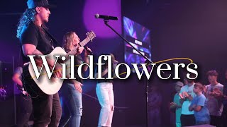 Wildflowers Cover By Austin Bailey [upl. by Peony737]