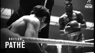 Pathe News Presents The Anderson V Phillips Fight 1947 [upl. by Danita]