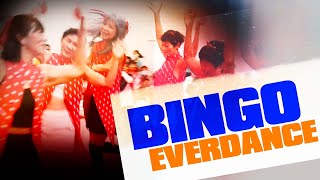 EVERDANCE  Bingo Assa Dance Cover [upl. by Alyahsat]