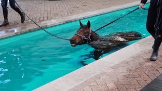 NAAR DE PAARDENZWEMLES 🦄💦  JILL HUIJBREGTS [upl. by Rialcnis69]