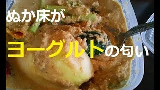 糠床がﾖｰｸﾞﾙﾄの匂い★Day10 of Nukazukefermentative rice bran pickles [upl. by Pattani]