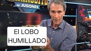 🚨ATENCION LOBO CARRASCO YO SI FUERA VINICIUS ME DARIA VERGÜENZA [upl. by Oina]