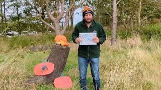 Pumpkin Trail at Druridge Bay Country Park [upl. by Jammal]