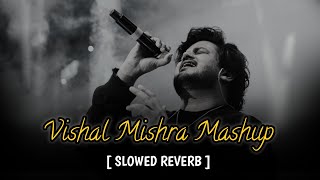 NEW MASHUP 2024  New Mashup Song  New Mashup  VishalMishraofficial [upl. by Ecnatsnok238]