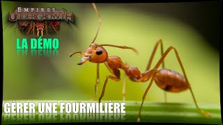 GÉRER UNE FOURMILIÈRE ▬ EMPIRE OF THE UNDERGROWTH DEMO ▬ GAMEPLAY FR 1 [upl. by Nnylsia]