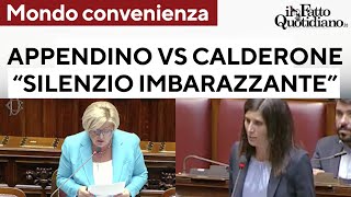 Mondo Convenienza Appendino attacca Calderone quotSilenzio è imbarazzante Cè sfruttamentoquot [upl. by Mailliw812]