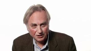 Richard Dawkins The Importance of Doing Useless Things  Big Think [upl. by Aihsela]