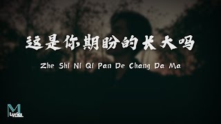 ZQS  Zhe Shi Ni Qi Pan De Chang Da Ma 这是你期盼的长大吗 Lyrics 歌词 PinyinEnglish Translation 動態歌詞 [upl. by Negyam]