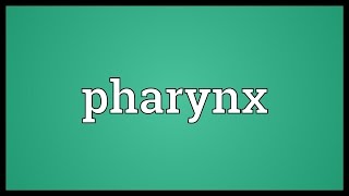 Pharynx Meaning [upl. by Hairahcaz540]