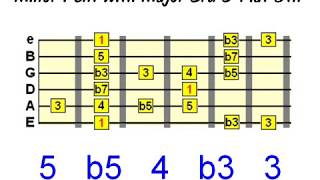 Guitar Scale Phrasing  Part 2  Chromaticism [upl. by Enilegna299]