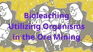 Bioleaching  Utilizing Organisms in the Ore Mining  Using microbes to mine for gold [upl. by Yroggerg]