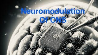 2024  Neuromodulation of CNS [upl. by Aurilia304]