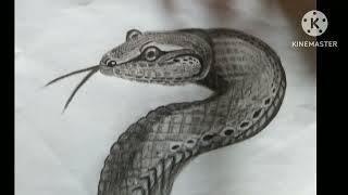 Drawing a realistic snake step by step Reptile drawing video [upl. by Marcile240]