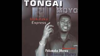 Tongai Moyo  Munyaradzi Wangu Pakanaka Dhewa Album 2004 Official Audio [upl. by Annawek]