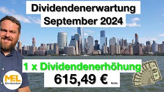 61549 € Bruttodividenden erwarte ich im September für mein Aktiendepot quotNo risk no funquot [upl. by Boys]