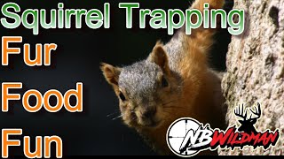 Easy Squirrel Trapping for Fur Food amp Fun [upl. by Zysk]