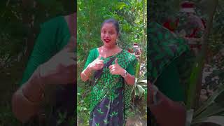 golap fuler khata 🌷⚘️🌹🥀💐shortvideo twinssister02 viralshort [upl. by Holihs]