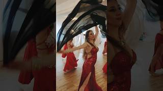 Belly dance with veil  Red project by Camilia bellydance [upl. by Gertie]