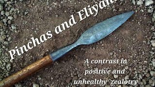 The Zealotry of Pinchas and Eliyahu [upl. by Dreddy551]