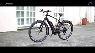 Diamant Zouma Sport 2019  Stadtrad  Trekking EMTB  Urban Ebike [upl. by Dorothea135]