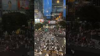 Shibuya crossing orderly chaos😅 shorts shibuya tokyo japan [upl. by Davon]