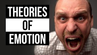 Psych Theories of Emotion [upl. by Ahsiyt]