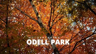 FALL FOOTAGE  Odell Park Fredericton New Brunswick [upl. by Comras]