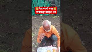 🥭विकण्याची कला बाबांकडून शिकून घ्या viral viralvideo video pune comedy fruit mango India [upl. by Yelrehs580]