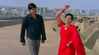 Adiga Brahmani Song  Evandoi Srivaru Movie Full Songs  Srikanth Sneha Nikita Thukral [upl. by Asilav]