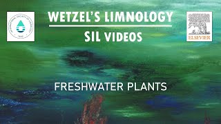 Freshwater Plants  Wetzels Limnology SIL Videos [upl. by Odelinda]