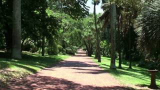 The Durban Botanic Gardens South Africa [upl. by Otrebtuc6]