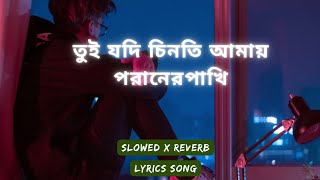 tui jodi chinti amay poraner pakhiSlowed x Reverbতুই যদি চিনতি আমায় পরানের পাখিS I TutulLyrics [upl. by Tterrab]