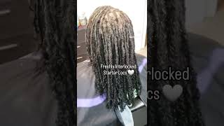 STARTER LOCS  Freshly Interlocked dreadlocks staterlocs [upl. by Ahsieker]