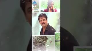 Nadhiye Nadhiye Song  Rhythm Tamil Movie Songs  Arjun  AR Rahman [upl. by Waddell]