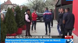 Români pacaliti cu locuri de munca Au crezut ca se vor angaja în Germania dar au fost înselati [upl. by Rudiger459]