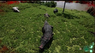 Lake Monsters  Deinosuchus gameplay  The Isle Evrima [upl. by Epillihp]