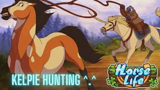 Horse Life  Kelpie Hunting and Breeding  Livestream [upl. by Gnuh]