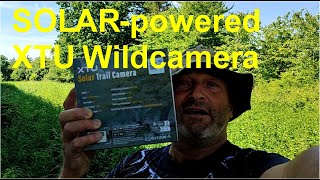 2024 06 15 Wildcamera [upl. by Thea]