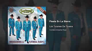 letra fiesta en la sierra los tucanes de Tijuana [upl. by Dleifxam690]