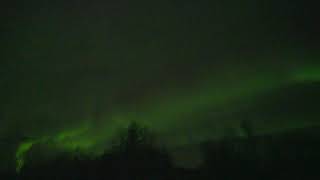 AURORA BOREALIS LIVE from Norway 🇳🇴 [upl. by Ecinna480]