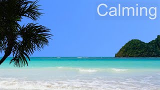 Ocean Meditation – Calm Sea and Soothing Ocean Waves Scene and Sounds  Sunny Tropical Beach [upl. by Nywles441]