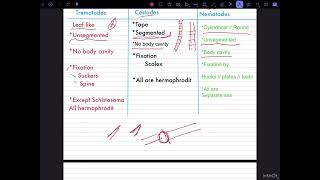 شرح مدخل الطفيليات Medical parasitology 1Nematodes 2cestodes 3Trematodes المحاضرة الأولى [upl. by Sheri]