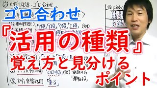 中学国語【ゴロ合わせ】「活用の種類・覚え方と見分けるポイント」 [upl. by Adarbil]