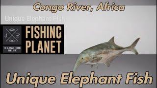 Fishing Planet Unique Elephant Fish Congo River Africa [upl. by Aysahc245]