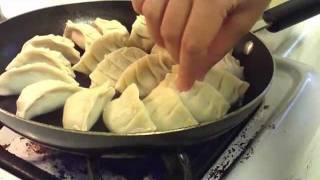 How to make Gyoza [upl. by Chico]