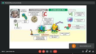 3P  Cloranfenicol y Lincosamidas  Farmacología I [upl. by Anoif]