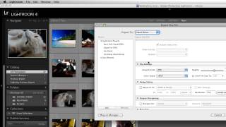 How to Convert RAW to JPEG in Lightroom [upl. by Ardnaid751]